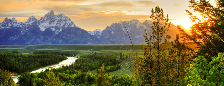 YellowStone